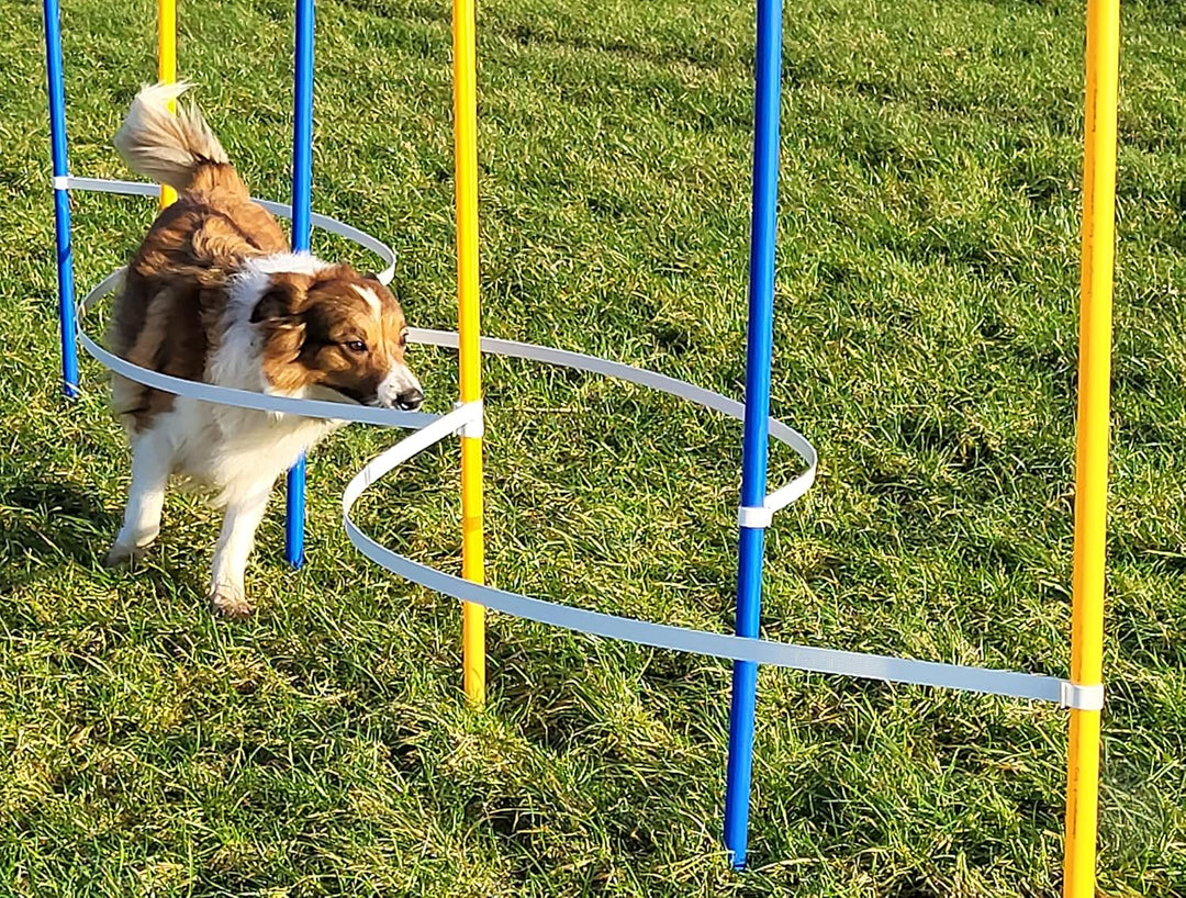 Agility - Slalom - AUSBILDUNGSSET MIT 4 SLALOMBÖGEN/TRAININGSBÖGEN + 6 SLALOMSTANGEN GELB/BLAU