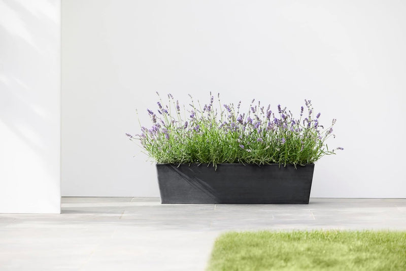 ECOPOTS Balkonkasten Bruges Dunkel Grau - 55 x 17 cm mit Wasserversorgung rechteckig - Pflanzentopf
