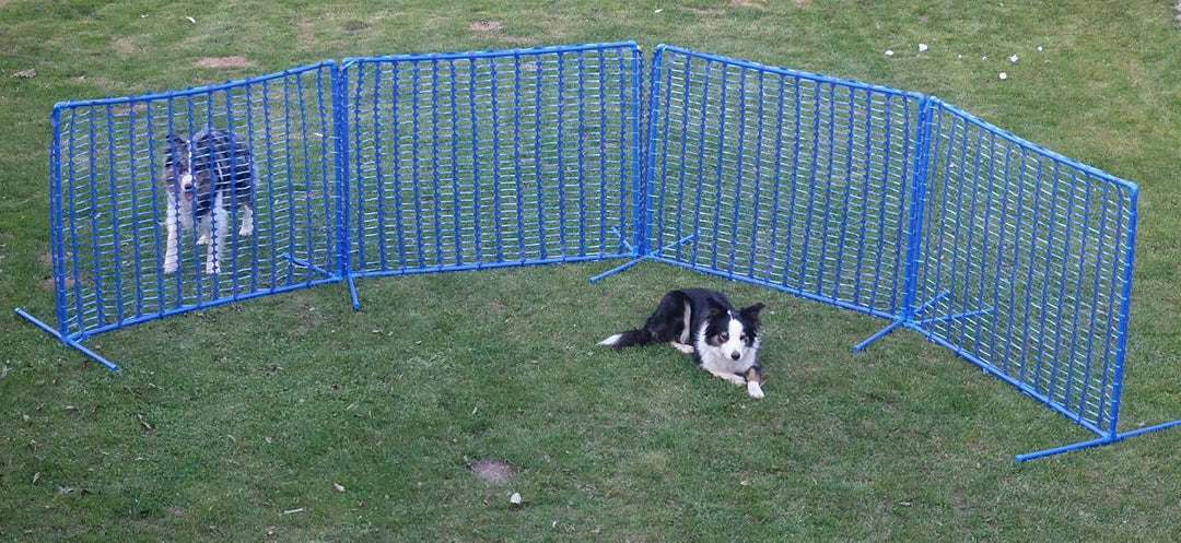 4X Hoopers Zaun „Blue Gate”/Gatter - NADAC Hoopers Agility Gerät – Hoopers Agility Gate