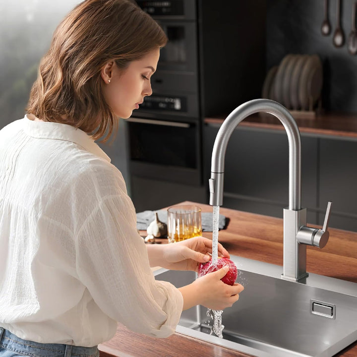 CECIPA Wasserhahn Küche Ausziehbar Edelstahl, Küchenarmatur mit Brause 2 Strahlarten, Spültischarmat