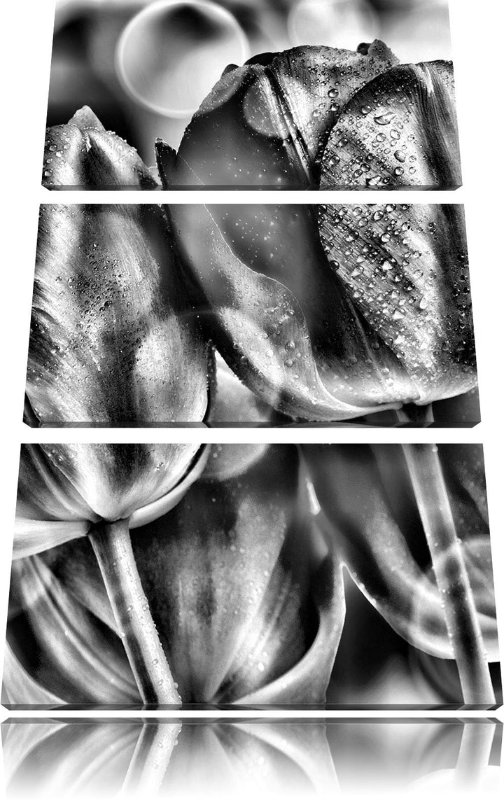 Pixxprint Rote Tulpen als Leinwandbild/Grösse: 3 Teilig (120x80) cm/Wandbild/Kunstdruck/fertig bespa
