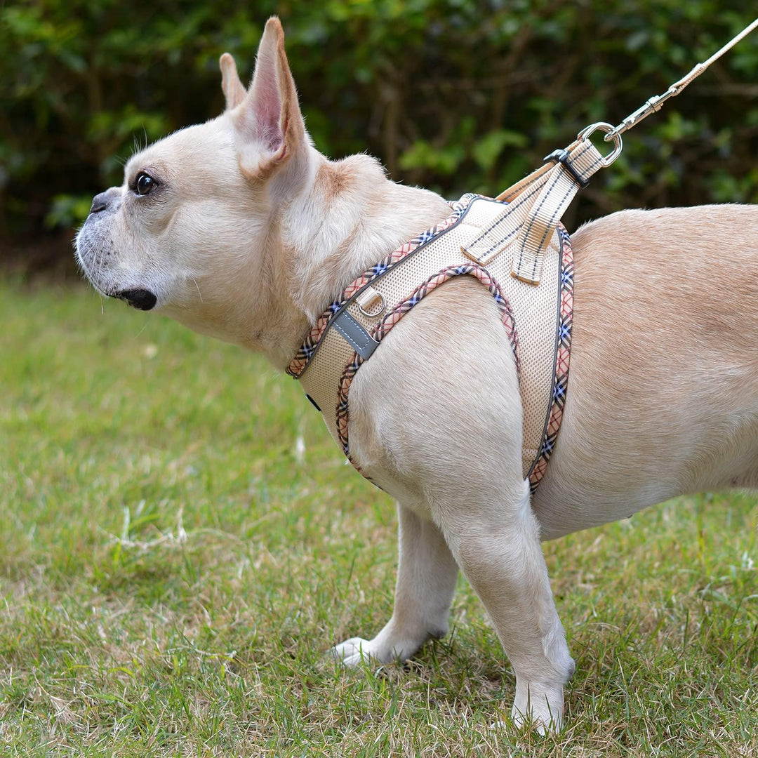 Hundegeschirr Kleine Hunde mit Leine, Step-in Geschirr Reflektierend Atmungsaktiv Brustgeschirr Anti