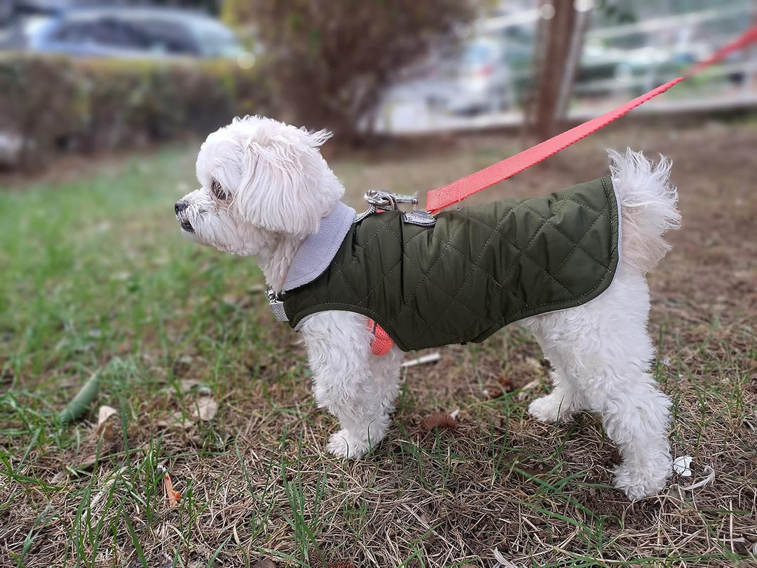 Hundemantel, Wind- und Wasserabweisend, Halsschutz, Sportbekleidung für S-M-L-XL-XXL grosse Hunde. (