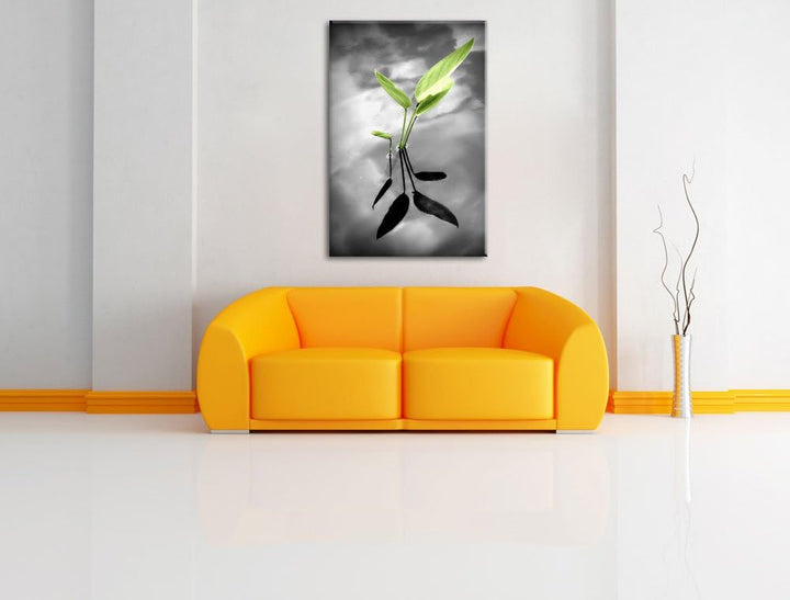 Pixxprint grüne Blätter im Wasser auf Leinwand, XXL riesige Bilder fertig gerahmt mit Keilrahmen, Ku