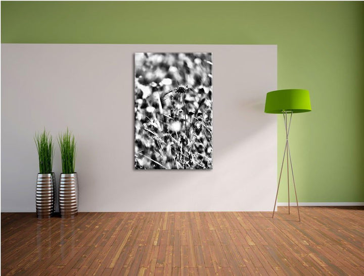 Pixxprint Bunte Gräser, Pflanzen, Natur / 100x70cm Leinwandbild bespannt auf Holzrahmen/Wandbild Kun