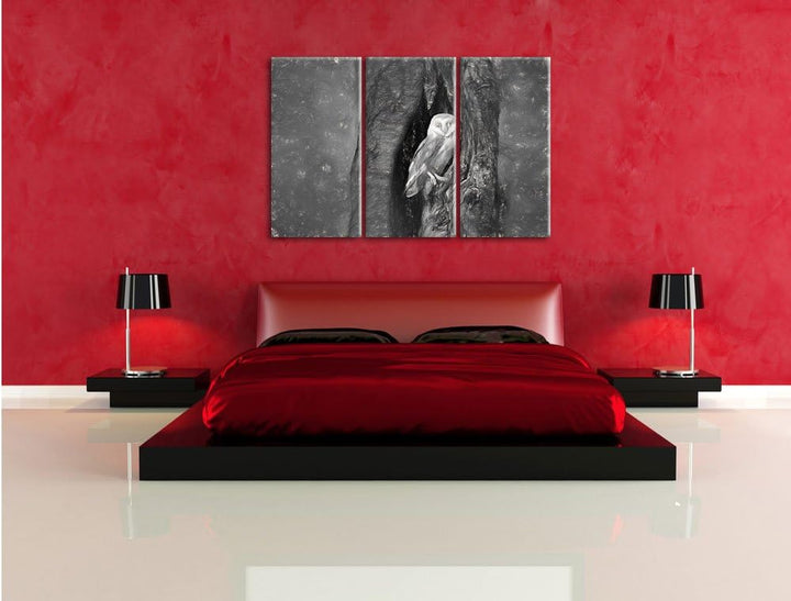 Pixxprint Schleiereule Baumhöhle / 3-Teilig/Gesamtmass 120cm Leinwandbild bespannt auf Holzrahmen/Wa