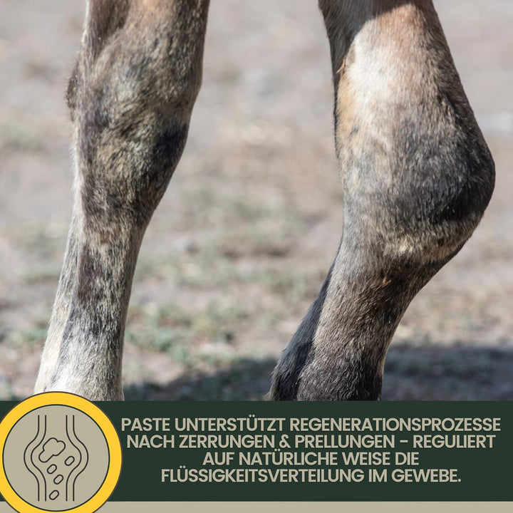 EMMA Tonerde Pferd ⇒ Essigsaure Tonerde Pferde Pferdebalsam Kühlend - Paste Mit Arnika Salbe Mineral