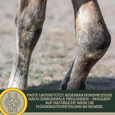 essigsaure Tonerde - Tonerde Pferd I Pferdebalsam kühlend I Tonerde Arnika Salbe I Mineralerde I Hei