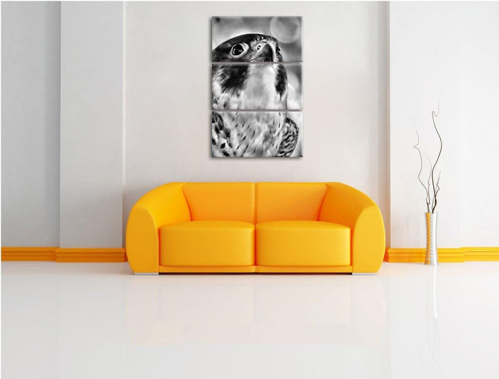 Pixxprint schöner Grauer Adler als Leinwandbild/Grösse: 3 Teilig (120x80) cm/Wandbild/Kunstdruck/fer