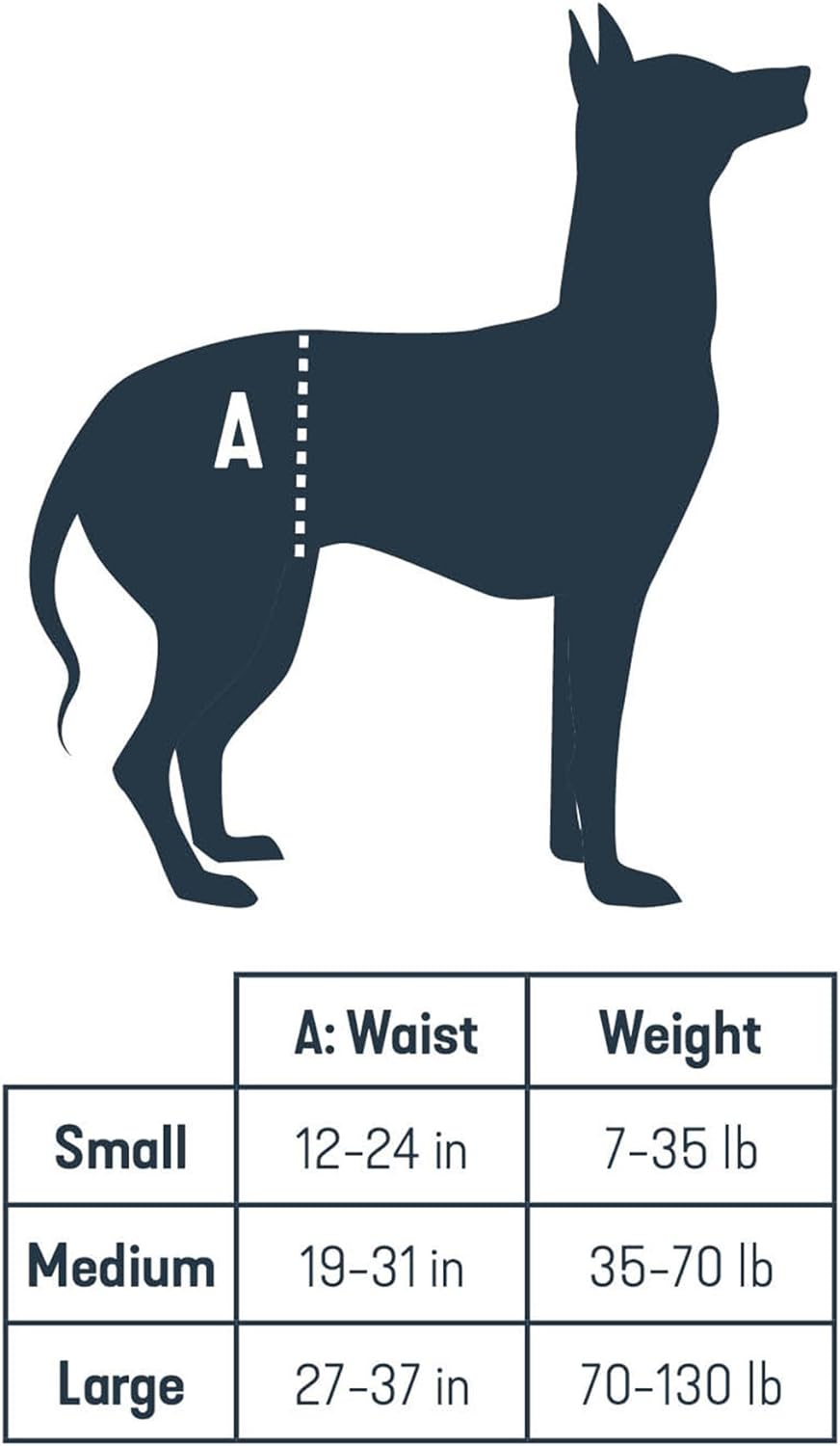 PetSafe CareLift Hüft-Hebegeschirr für Hunde, Hebehilfe mit Griff und Schultergurt zur Hüftunterstüt