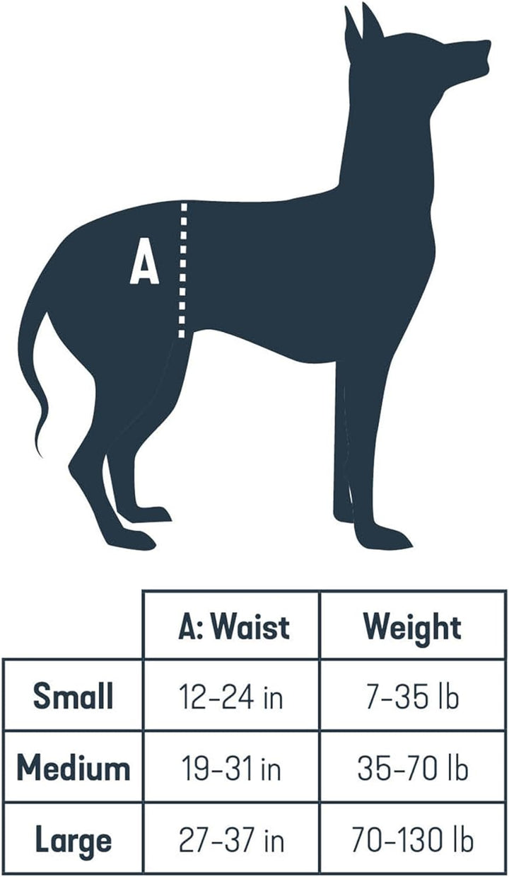 PetSafe CareLift Hüft-Hebegeschirr für Hunde, Hebehilfe mit Griff und Schultergurt zur Hüftunterstüt