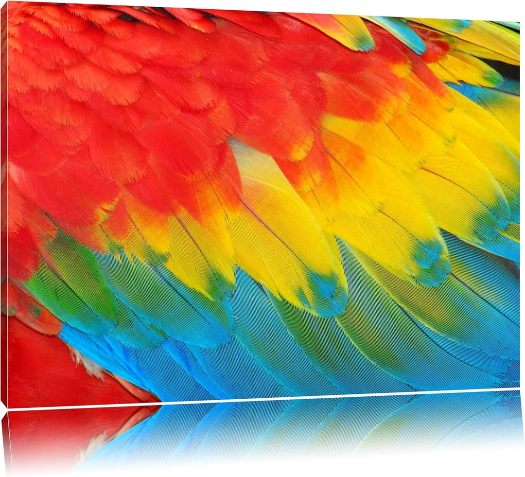Bunte Papageien Flügel Format: 100x70 auf Leinwand, XXL riesige Bilder fertig gerahmt mit Keilrahmen