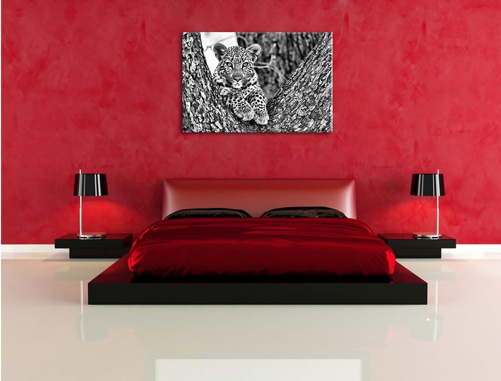 Monocrome, Leopardenbaby, Format: 100x70 auf Leinwand, XXL riesige Bilder fertig gerahmt mit Keilrah