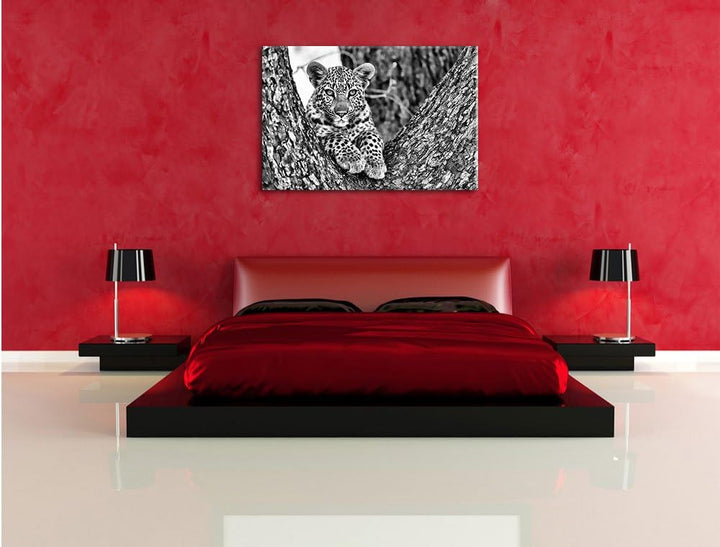 Monocrome, Leopardenbaby, Format: 100x70 auf Leinwand, XXL riesige Bilder fertig gerahmt mit Keilrah
