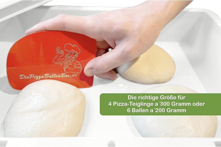 RoyalFay® Pizzaballenbox weiss 30 x 40 x 8 cm (1 Box mit 1 Deckel) für Pizzateig Sauerteig Brotteig
