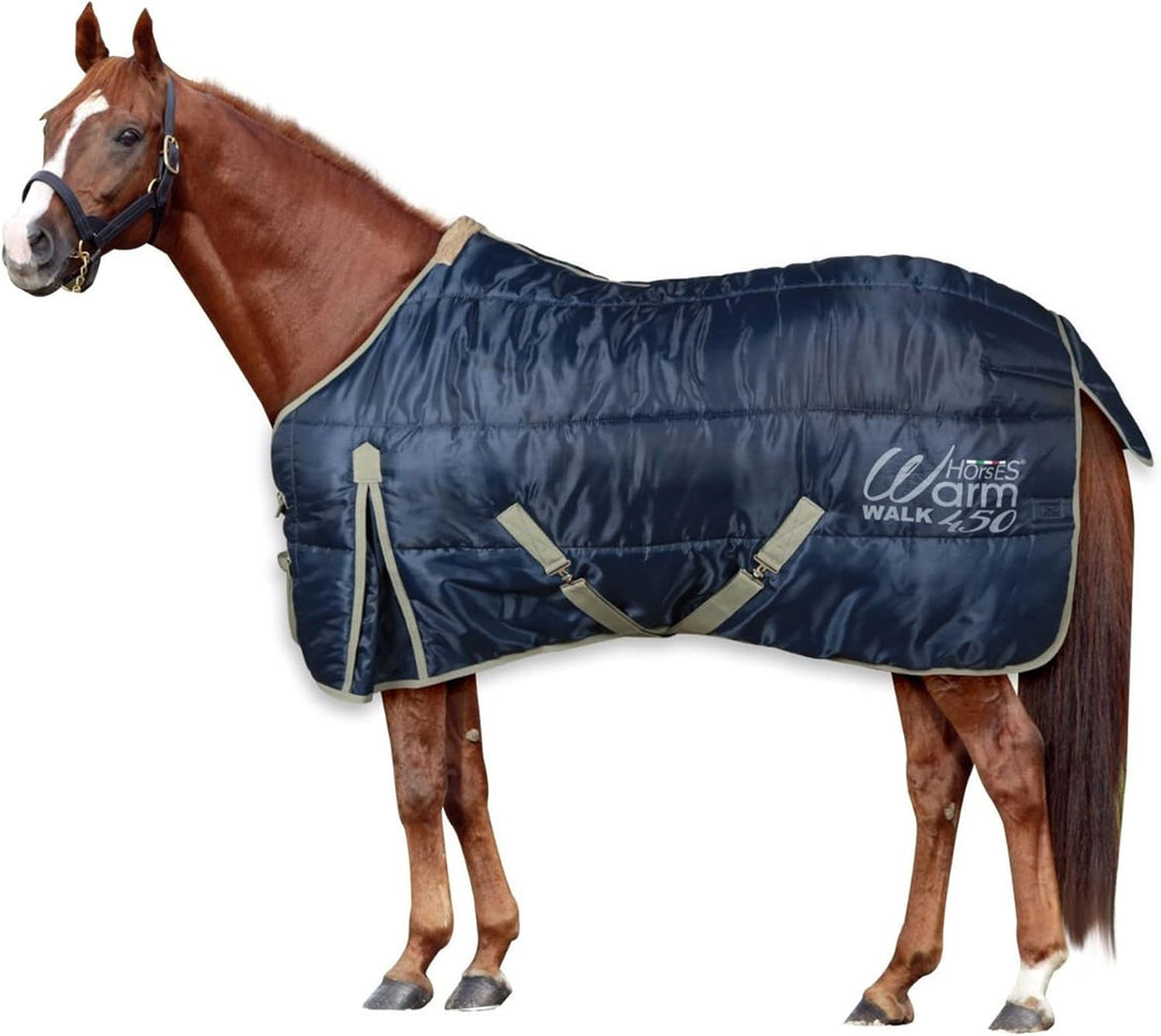 Horses, Winter Boxdecke Warm Walk für Pferd 450 gr, Gepolstert, Weich, Bequem, Ideal für Box, Widers