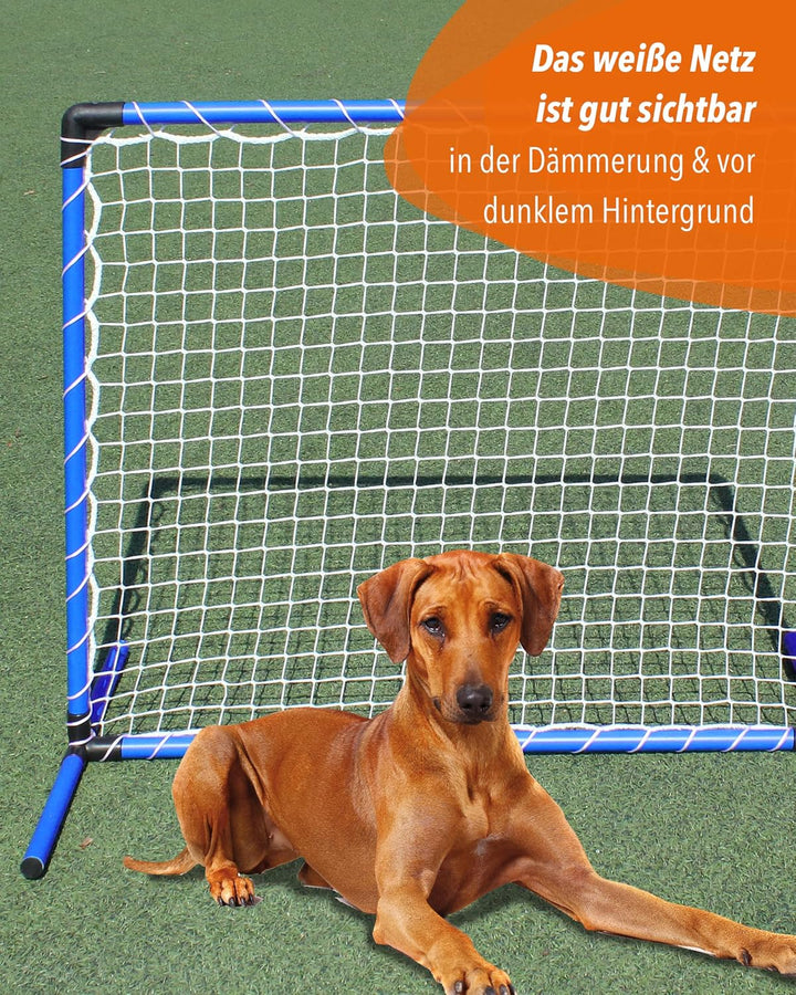 Hoopers-Gate – Blau – 100×90cm – mit weissem Netz – wetterfest & leicht – für Hoopers-Parcours, Blau