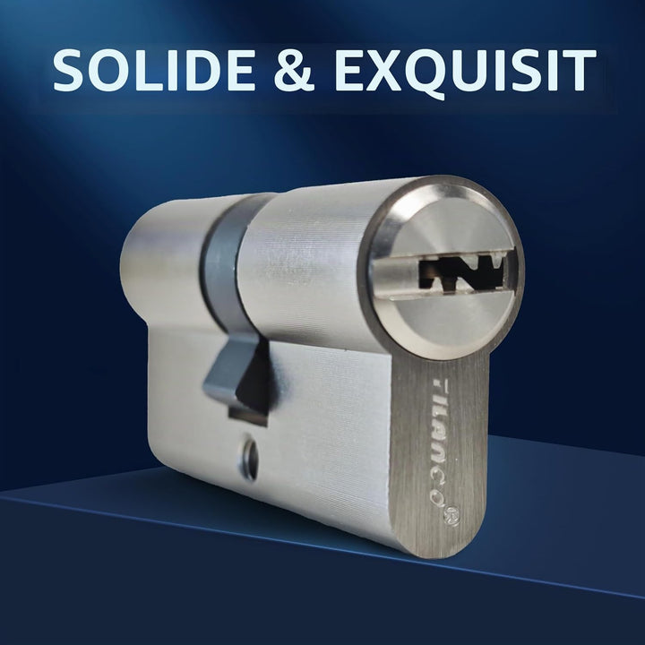 Massiver Schliesszylinder 30/30 Zylinderschloss Messing mit 5 Schlüssel - Länge: 60 mm, A:30 B:30 -