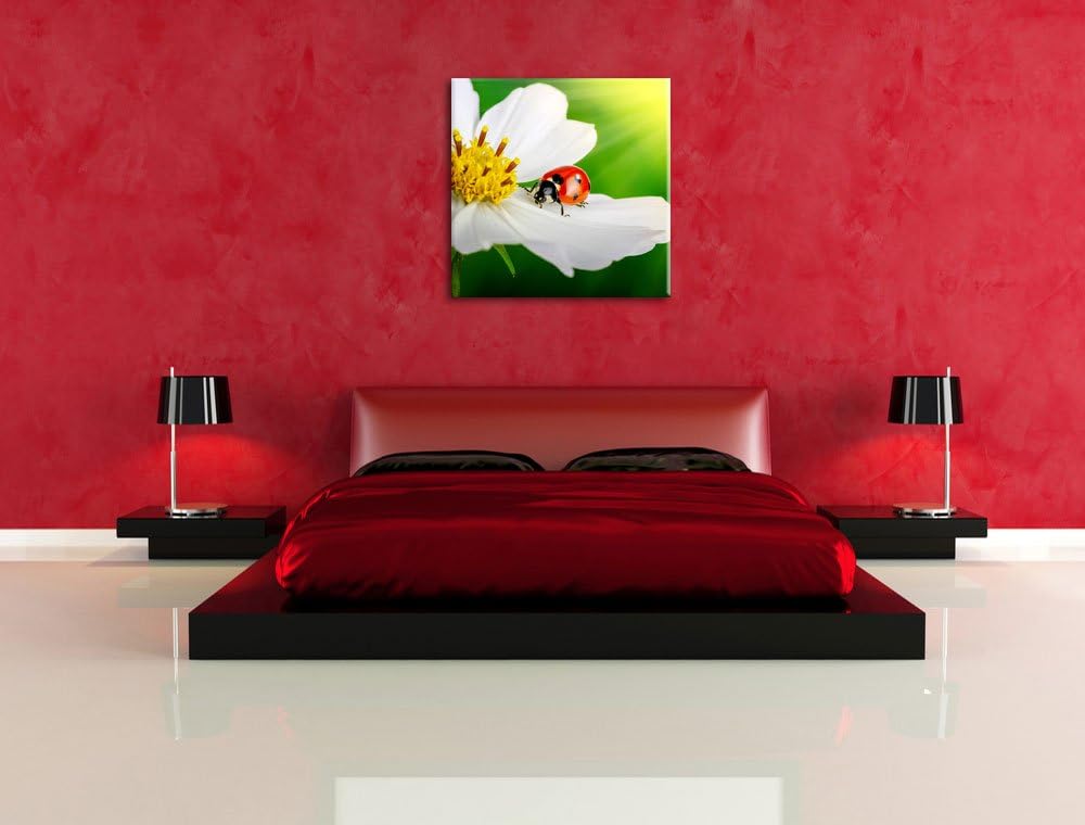 Pixxprint Marienkäfer auf Einer weissen Blume als Leinwandbild/Grösse: 70x70 cm/Wandbild/Kunstdruck/
