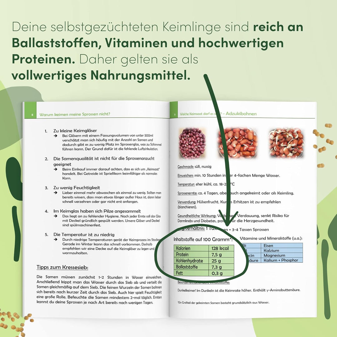 Green SEEDS Sprossenglas Keimglas 1er Set 1000ml mit hochwertigem Edelstahl-Gitterdeckel, Ständer +