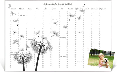 banjado® Wandkalender abwischbar aus Glas 60x40 cm/Jahresplaner abwischbar mit Motiv Pusteblumen Fli