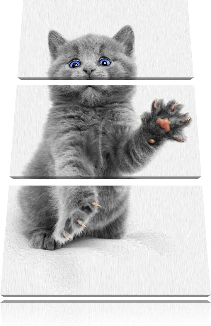 süsse kleine russisch Blau schwarz/weiss 3-Teiler Leinwandbild 120x80 Bild auf Leinwand, XXL riesige