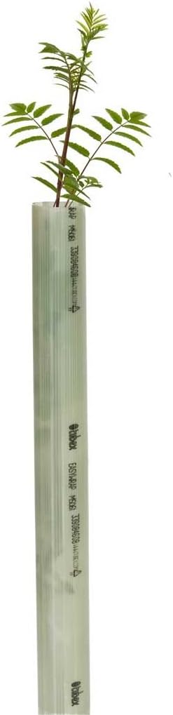 Tubex Easywrap Obstbaumschutz, Wuchshülle und Verbissschutz speziell für Obstbäume, 60cm Höhe. Ø 50-