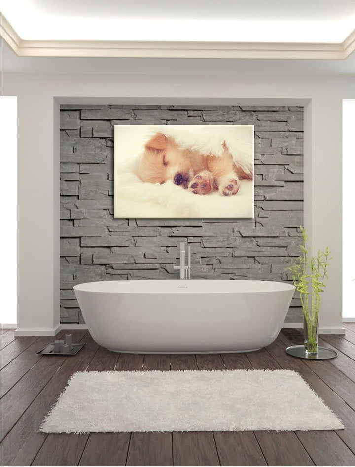 Pixxprint Kleiner schlafender Welpe als Leinwandbild/Grösse: 100x70 cm/Wandbild/Kunstdruck/fertig be