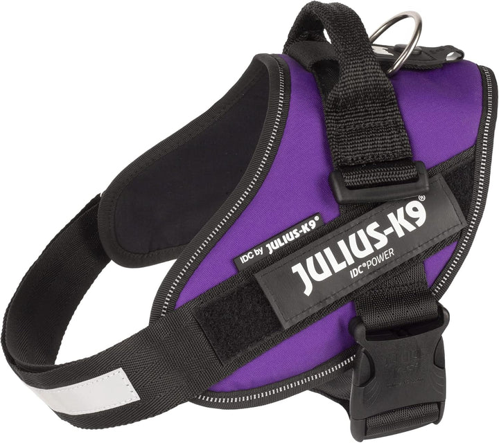Julius-K9, IDC Powergeschirr, Grösse: M/0, Dunkelviolett
