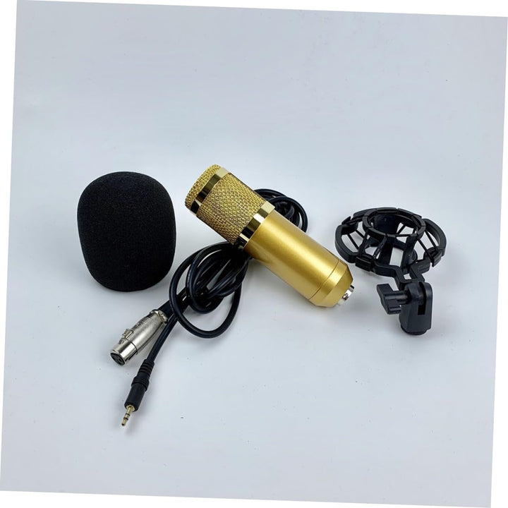 ibasenice Gold Bm-800 mit Doppellagigem Netzdesign, Kondensatormikrofon