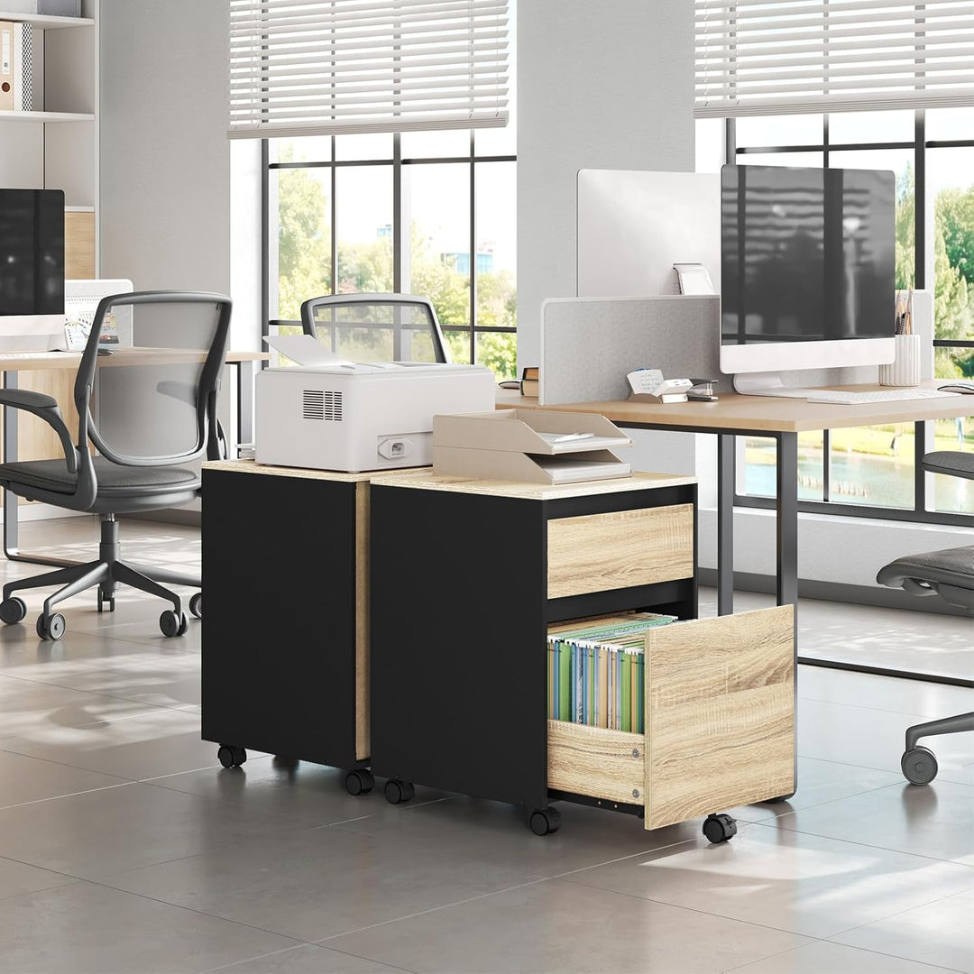 WOLTU Rollcontainer, Aktenschrank mit 2 Schubladen, mobiler Büroschrank, Schreibtisch Unterschrank,