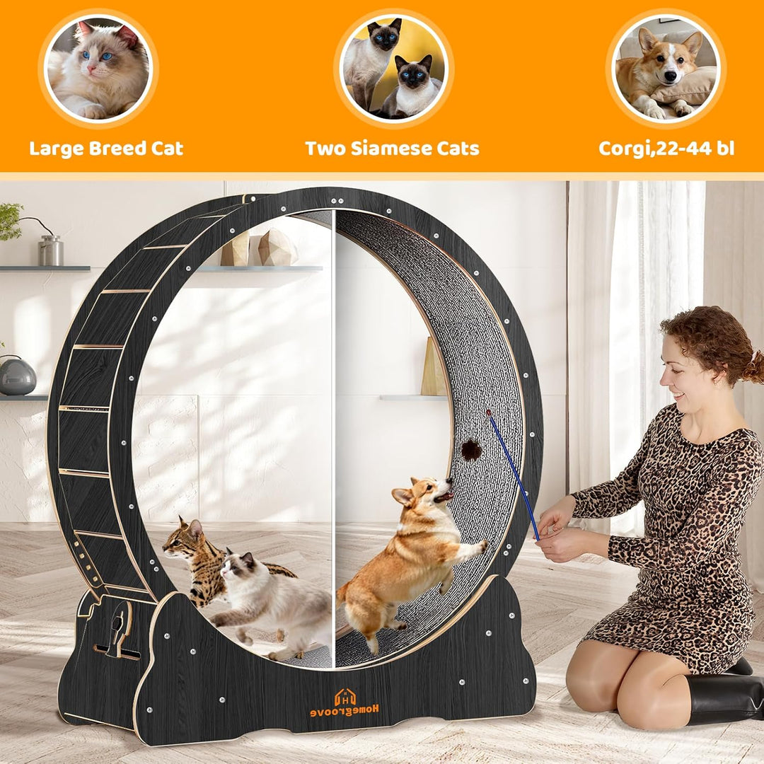 Homegroove XXL Katzenlaufrad, 52"/132 cm grosses Katzenrad, Massivholz-Laufband für Katzen mit integ