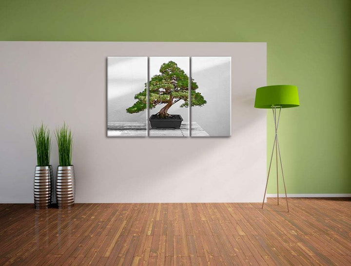 Bonsai Baum auf Holztisch schwarz/weiss 3-Teiler Leinwandbild 120x80 Bild auf Leinwand, XXL riesige