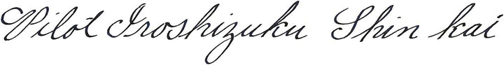 PILOT Iroshizuku Füllfederhalter-Tinte, Shin-Kai, Deep Sea (Blau-Schwarz), 50 ml Flasche (69225) 2 S