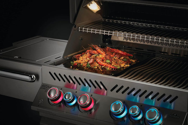 Napoleon 56041 Gussplatte für Presige (PRO) 700-Series BILEX und PRO 605