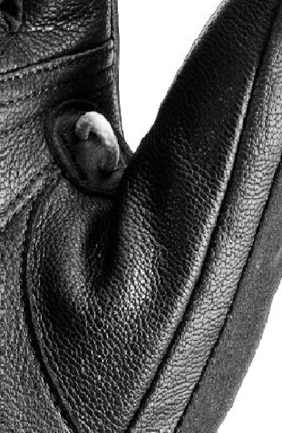 LEKI Nordic Skin Handschuhe 8 Schwarz, 8 Schwarz