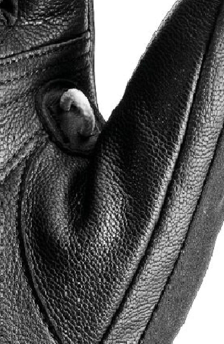 LEKI Nordic Skin Handschuhe 8 Schwarz, 8 Schwarz