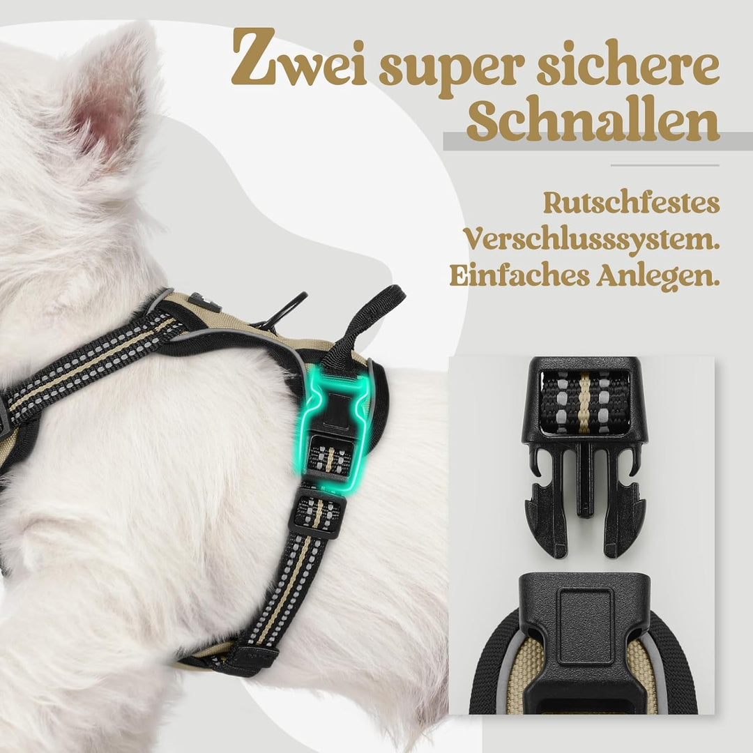 rabbitgoo Hundegeschirr Kleine Hunde, Anti Zug Geschirr mit Kontrolle, No Pull Verstellbar Hundegesc