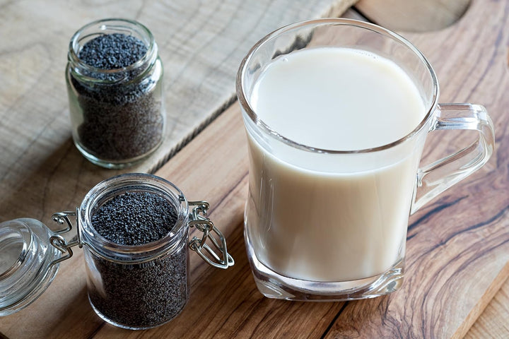 Nutramilk Vegan Nussmilch Nussbutter Aufbereiter: verarbeitet Mandeln, Cashews, alle Nüsse, erstellt
