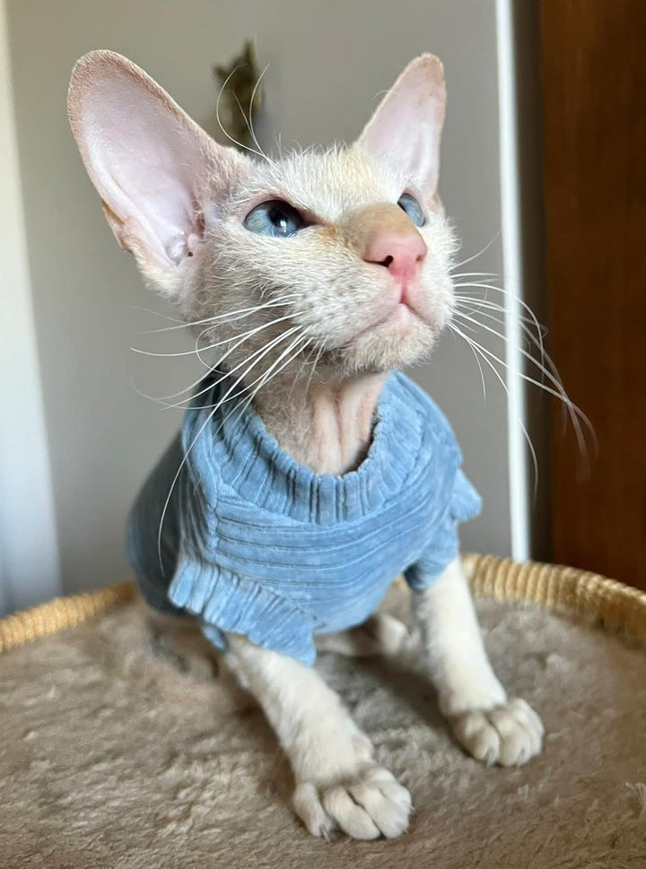 Kotomoda Katzen-T-Shirt aus Cord fьr Sphynx und nackte Katzen (Medium, Blau) mittel blau, mittel bla
