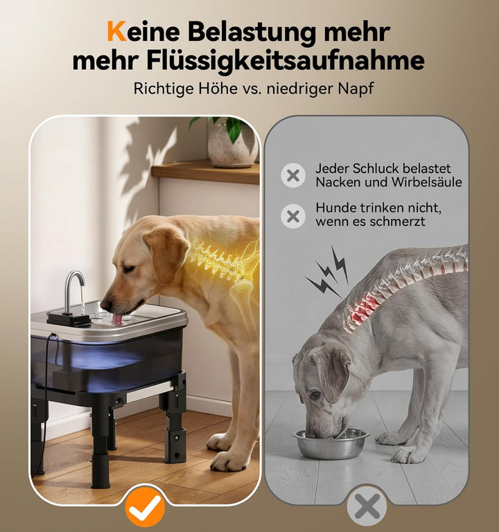 FEELNEEDY 9L Trinkbrunnen für Hunde mit 3-Stufig Verstellbarem Ständer, Hundebrunnen mit 3 Filters,
