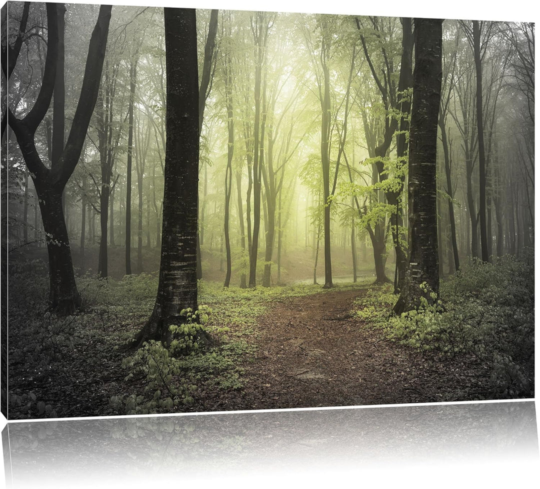 Pixxprint Weg im Wald als Leinwandbild/Grösse: 100x70 / Wandbild/Kunstdruck/fertig bespannt, 100x70