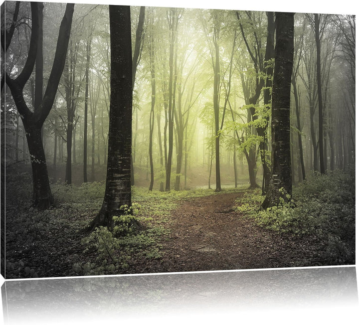 Pixxprint Weg im Wald als Leinwandbild/Grösse: 100x70 / Wandbild/Kunstdruck/fertig bespannt, 100x70