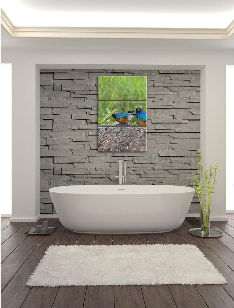 Pixxprint Vögel auf einem Stein als Leinwandbild/Grösse: 3 Teilig (120x80) cm/Wandbild/Kunstdruck/fe