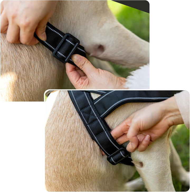 No Pull Hundegeschirr für kleine mittelgrosse Hunde, reflektierend ausbruchsicher verstellbar ohne Z