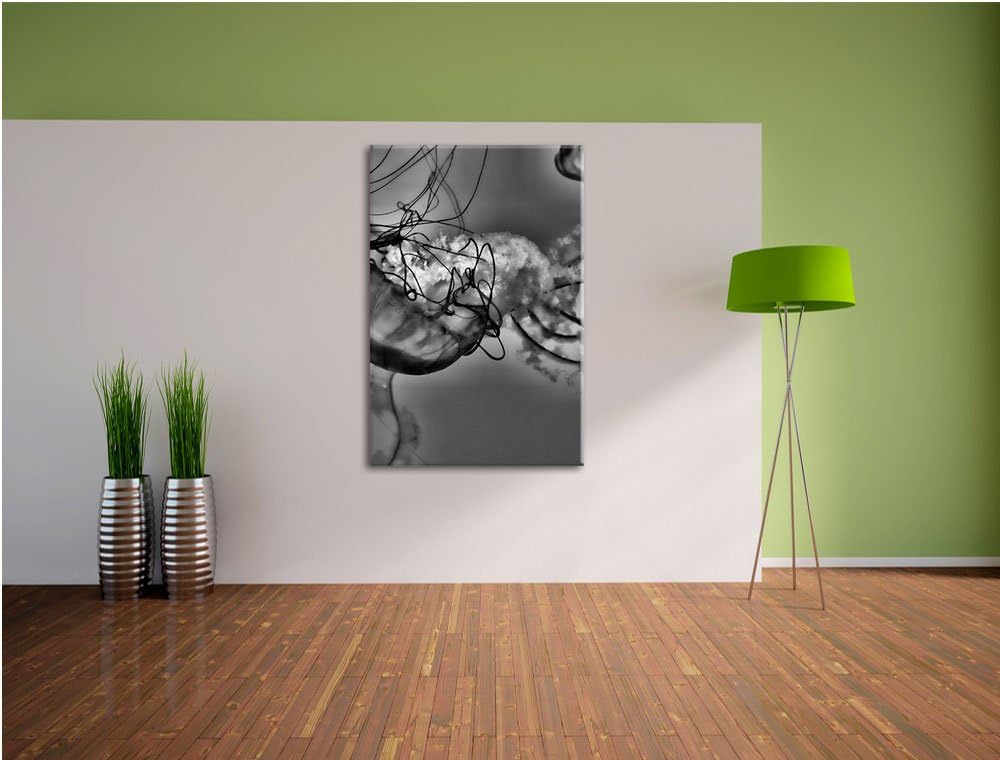 Pixxprint anmutige Qualle im Wasser als Leinwandbild/Grösse: 100x70 / Wandbild/Kunstdruck/fertig bes