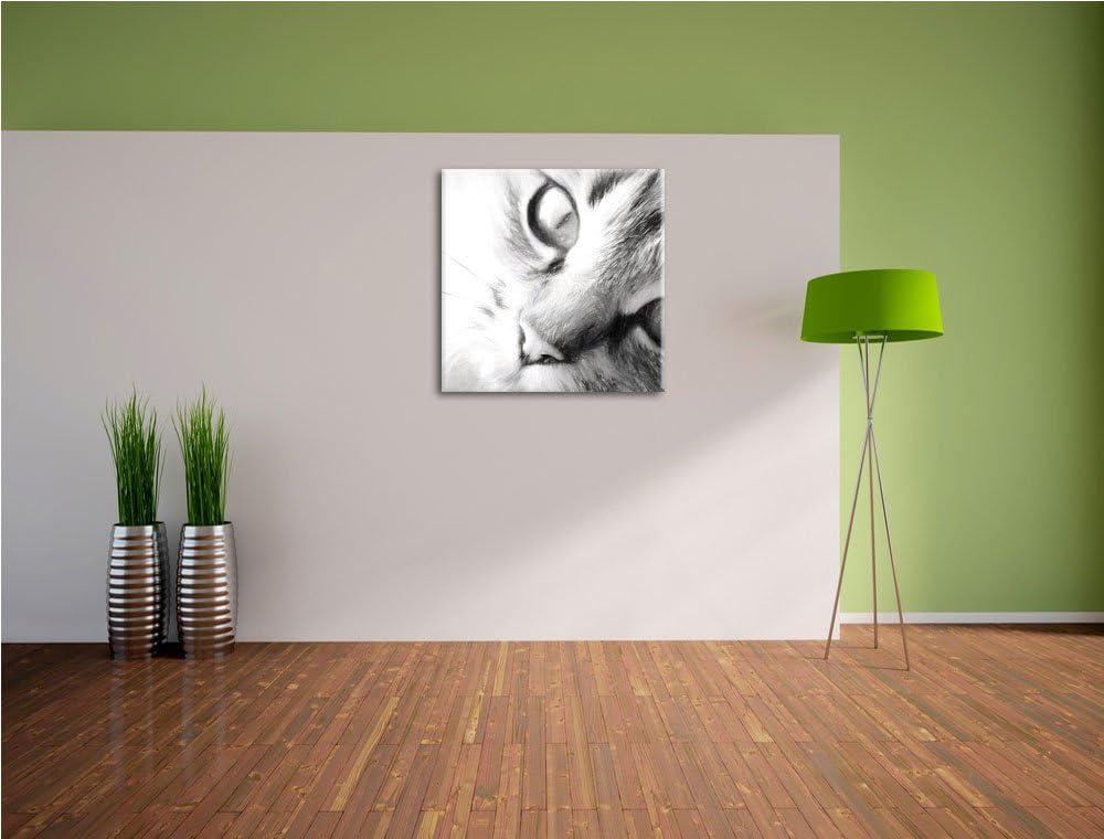 Pixxprint Graue Katze, Format: 70x70 auf Leinwand, XXL riesige Bilder fertig gerahmt mit Keilrahmen,