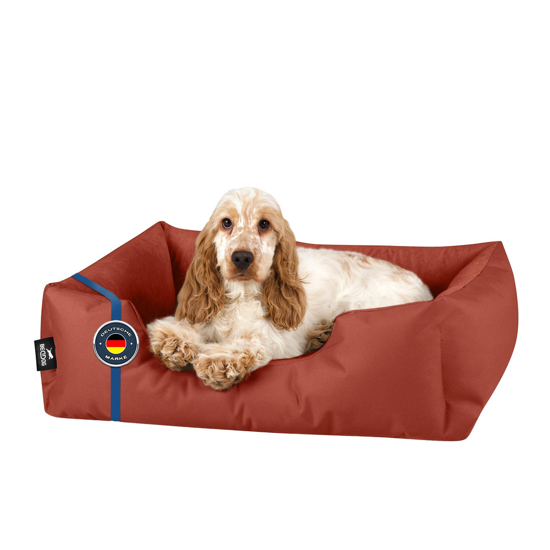 BedDog Hundebett Zara, Hundekissen mit abziehbaren waschbaren Bezug, Hundekorb, Hundesofa, für klein