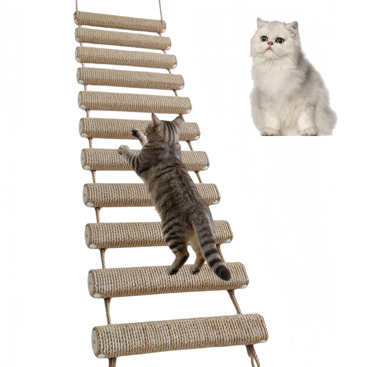 Katzenleiter, Katzenleiterbrücke für Wand Sisalseil Klettergerüst Kletterwand Katzen Aktivitätskratz