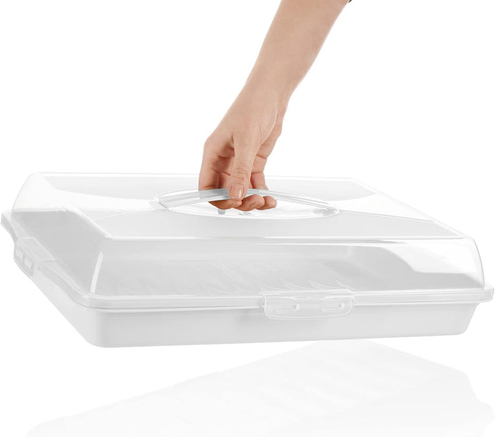 com-four® Kuchenbehälter - Transportbox für Kuchen und Lebensmittel - Aufbewahrungsbehälter mit Deck